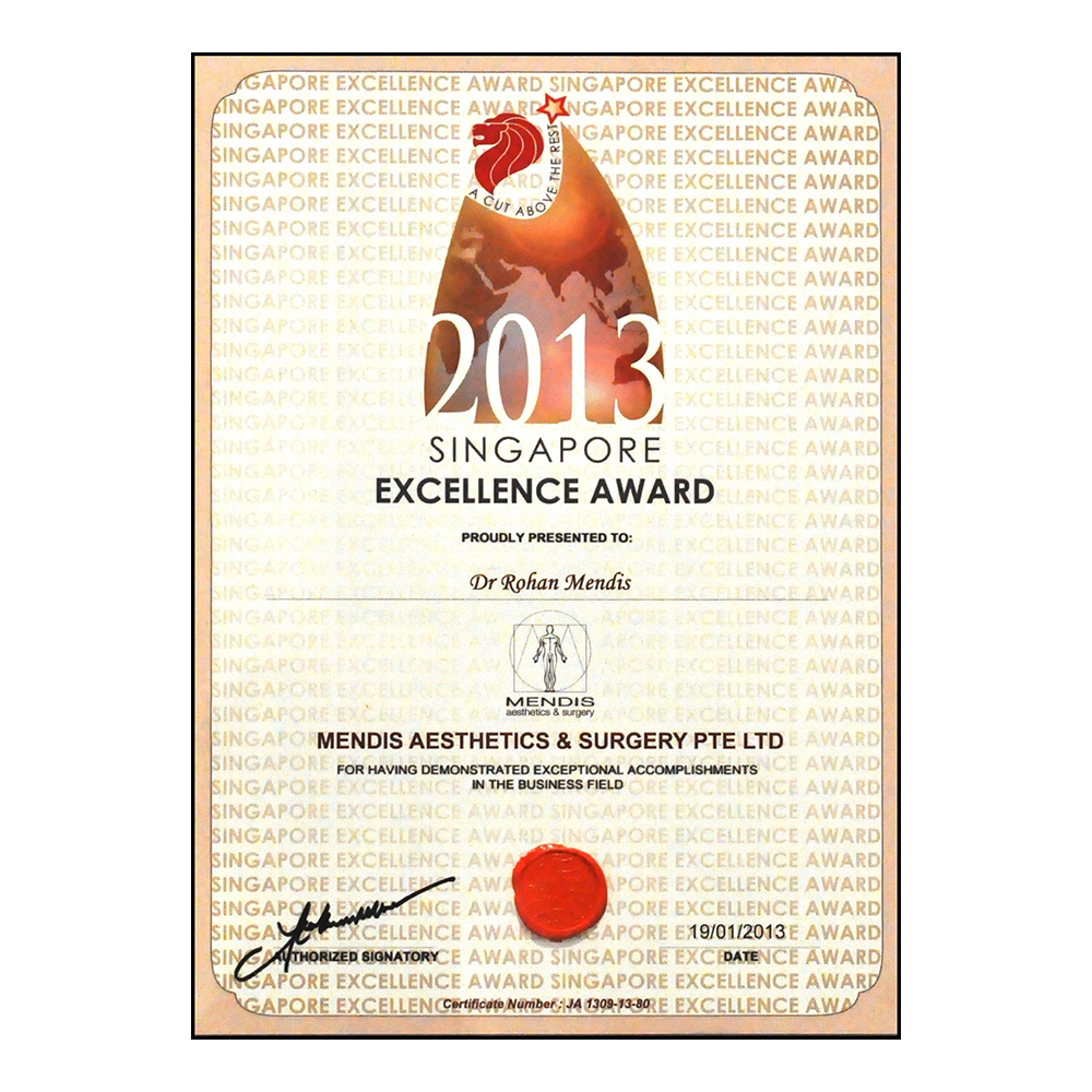 Copy-of-Singapore-Excellence-2013